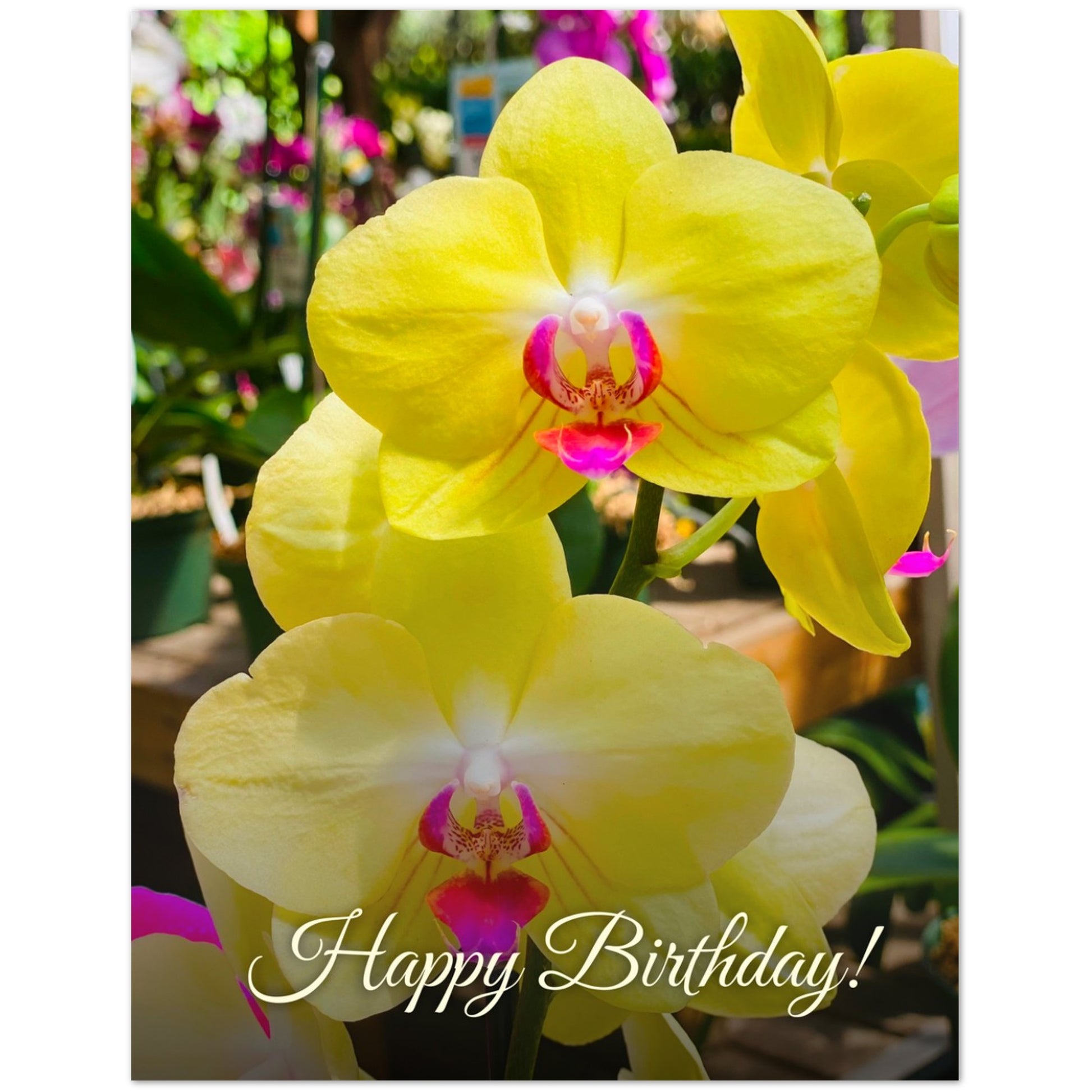 d24ef6a9-77e9-42aa-bb7f-be674c25a753