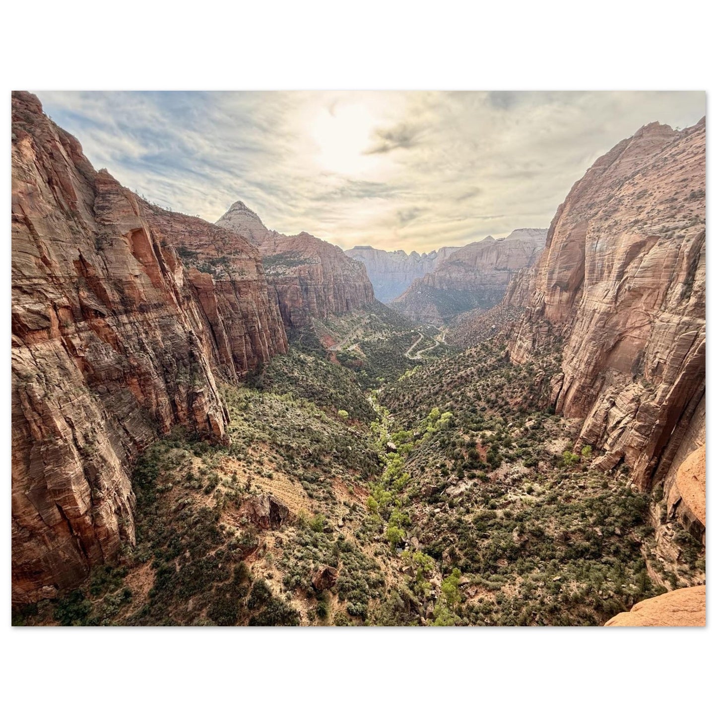 d332003d-c003-4618-bf47-2c911cab586e