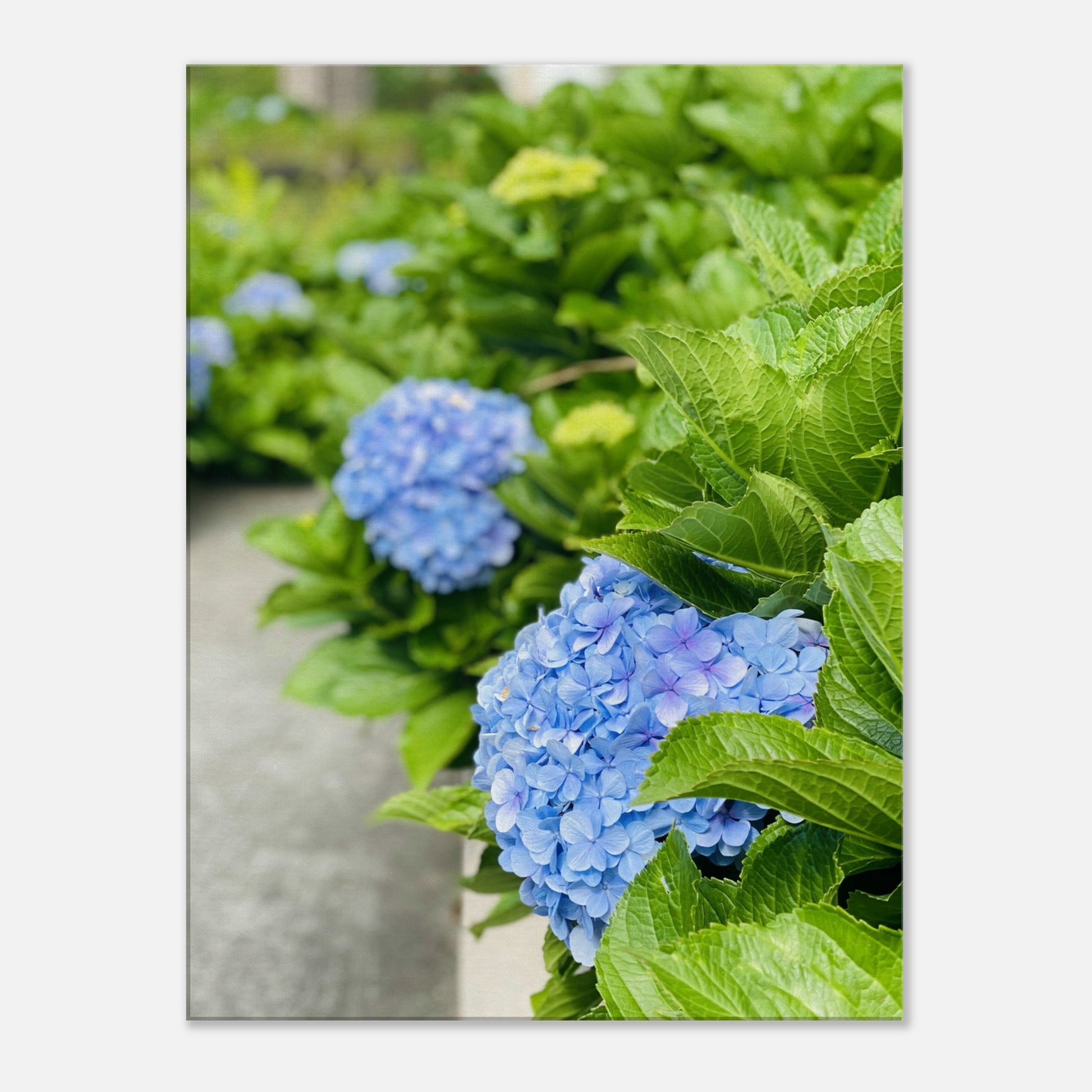 d3c2df1a-7022-438b-ad30-229a7e193070