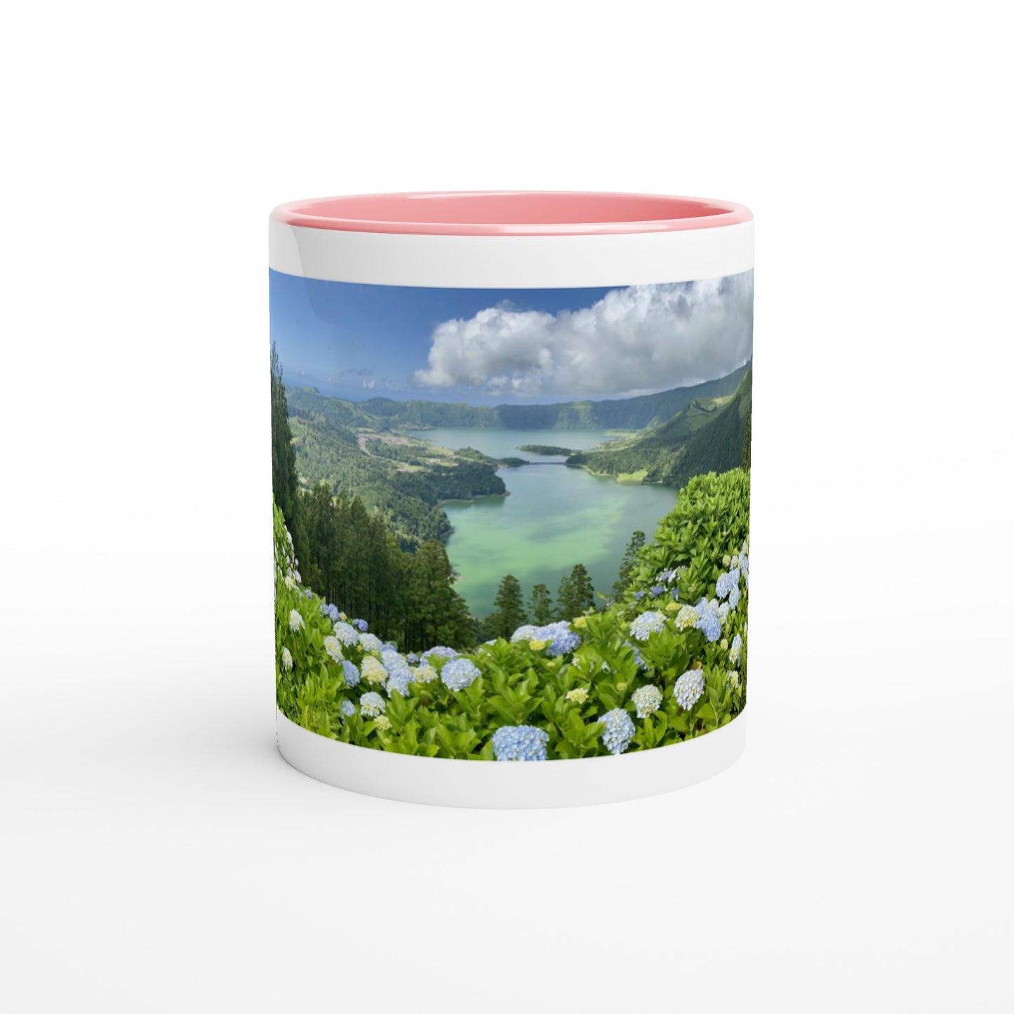 d3eacdc5-79aa-49ec-a1d4-462509899085