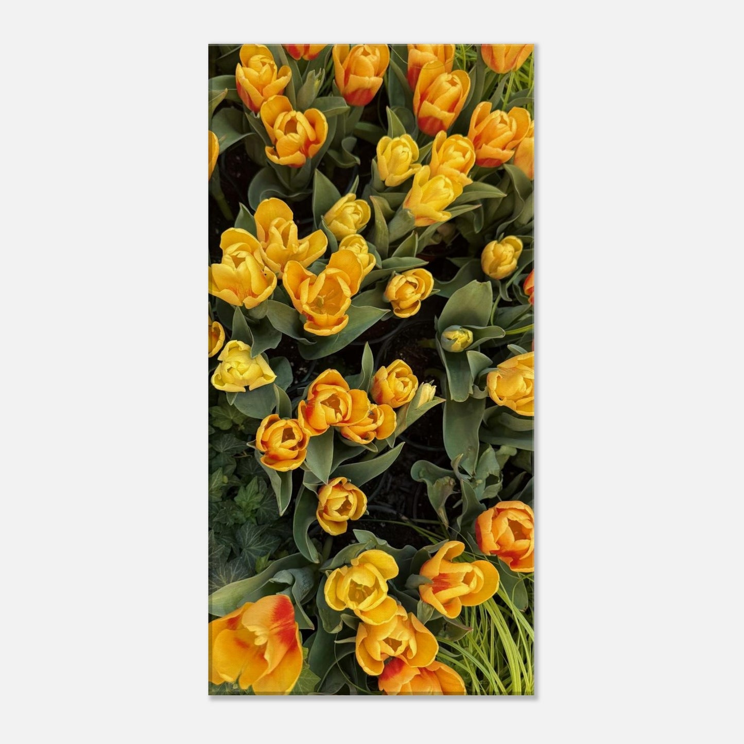 d471d8c3-f769-41fa-9877-e491849cd124