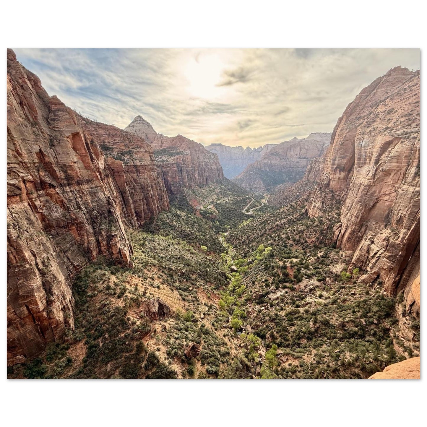 d5250d41-9954-41b1-adbb-71bf8bd29a8c