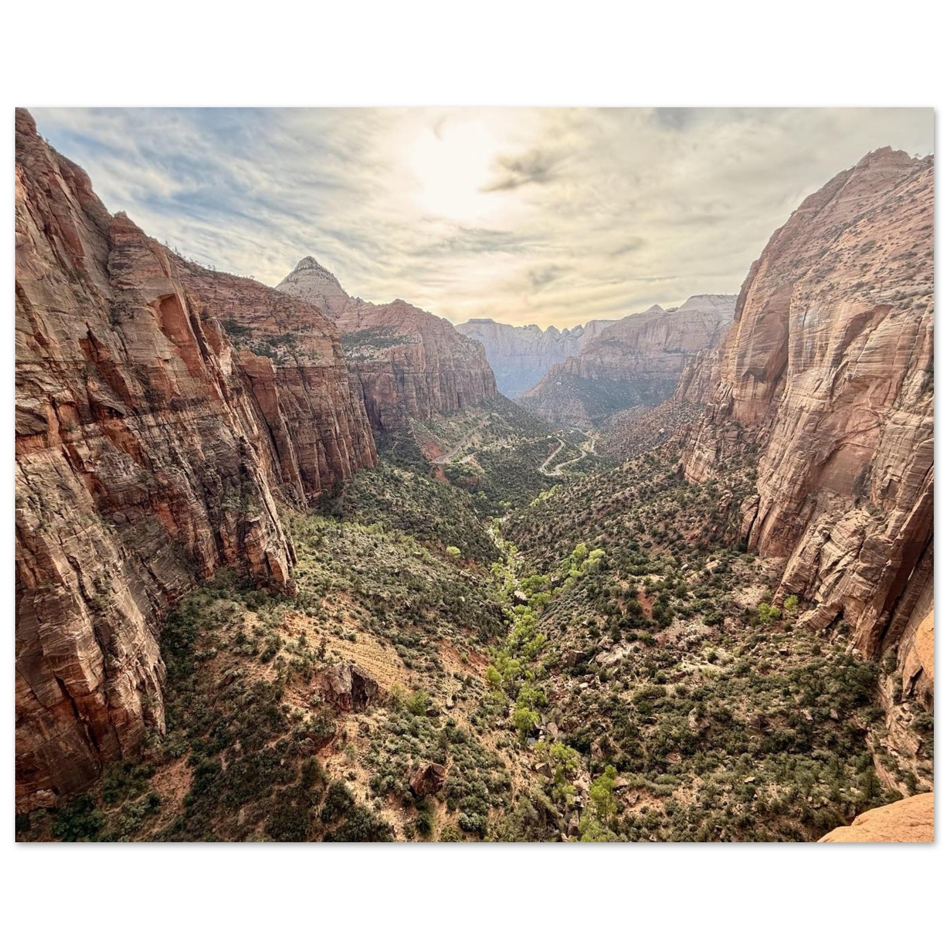 d5250d41-9954-41b1-adbb-71bf8bd29a8c