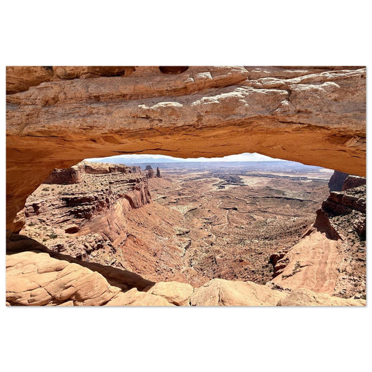 d5917761-401a-4e9d-927e-cadecc78041a