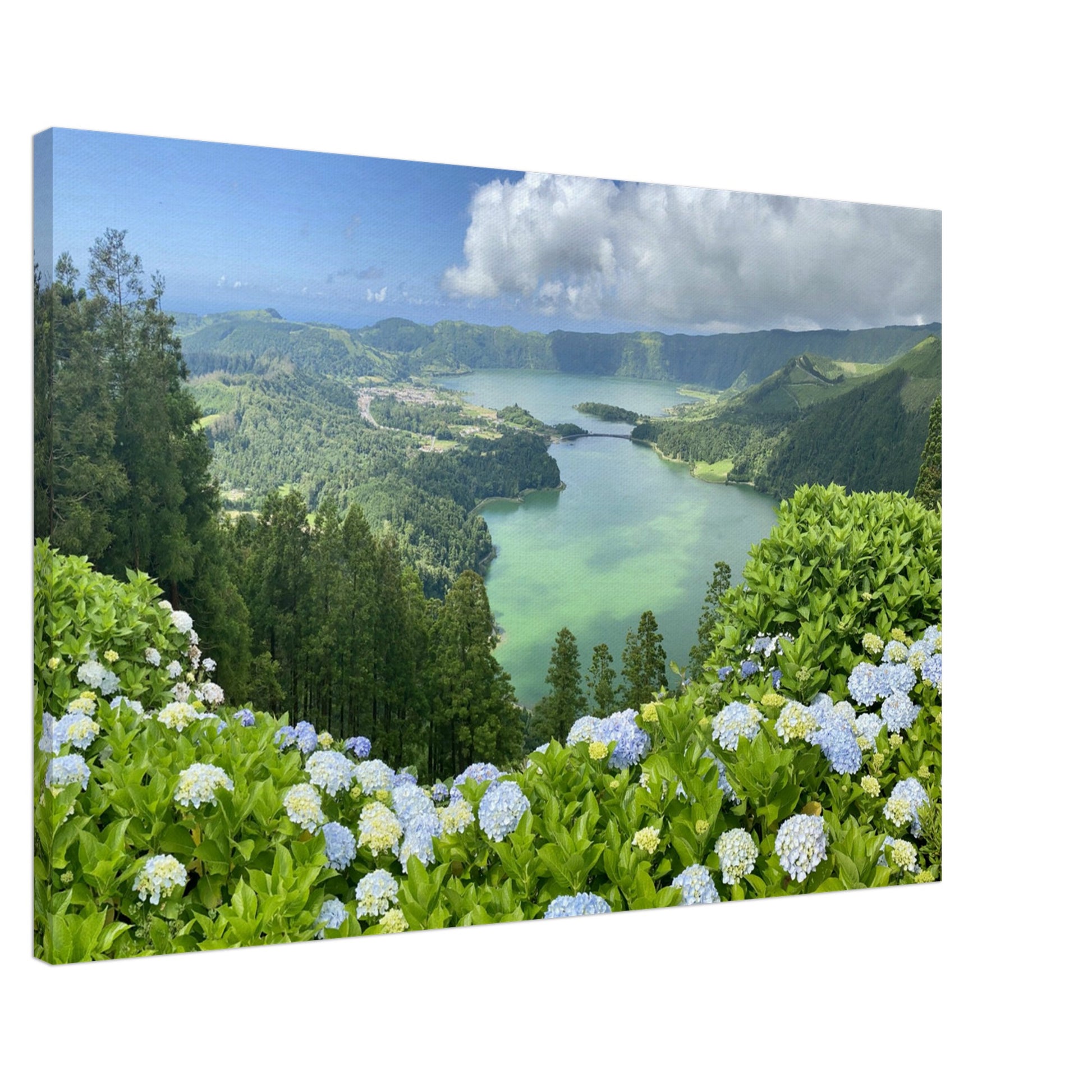 d9c9d00d-21db-4b7d-a670-8a8281960d53