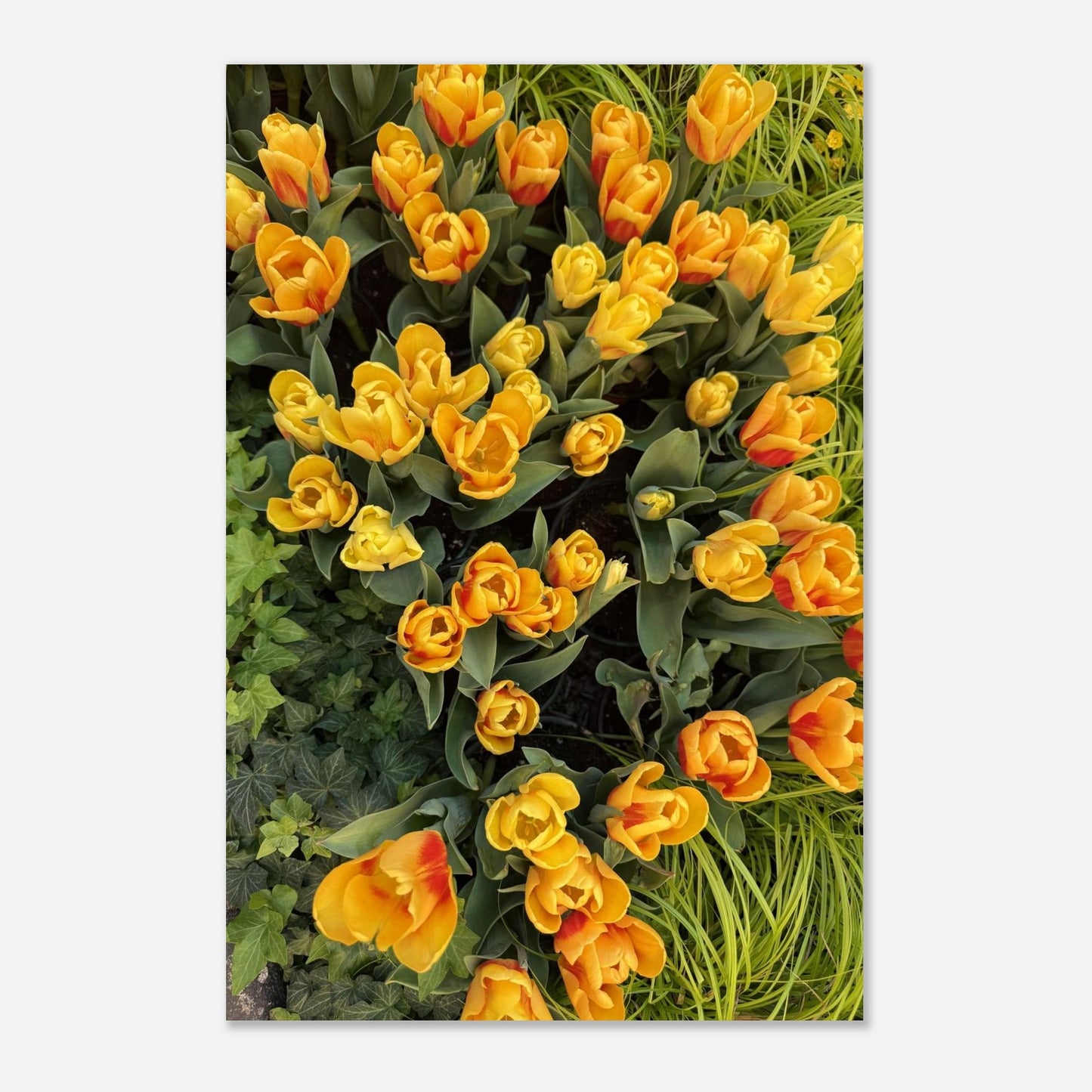 d9d58b10-ec4e-490a-b749-9816cb8c57b1