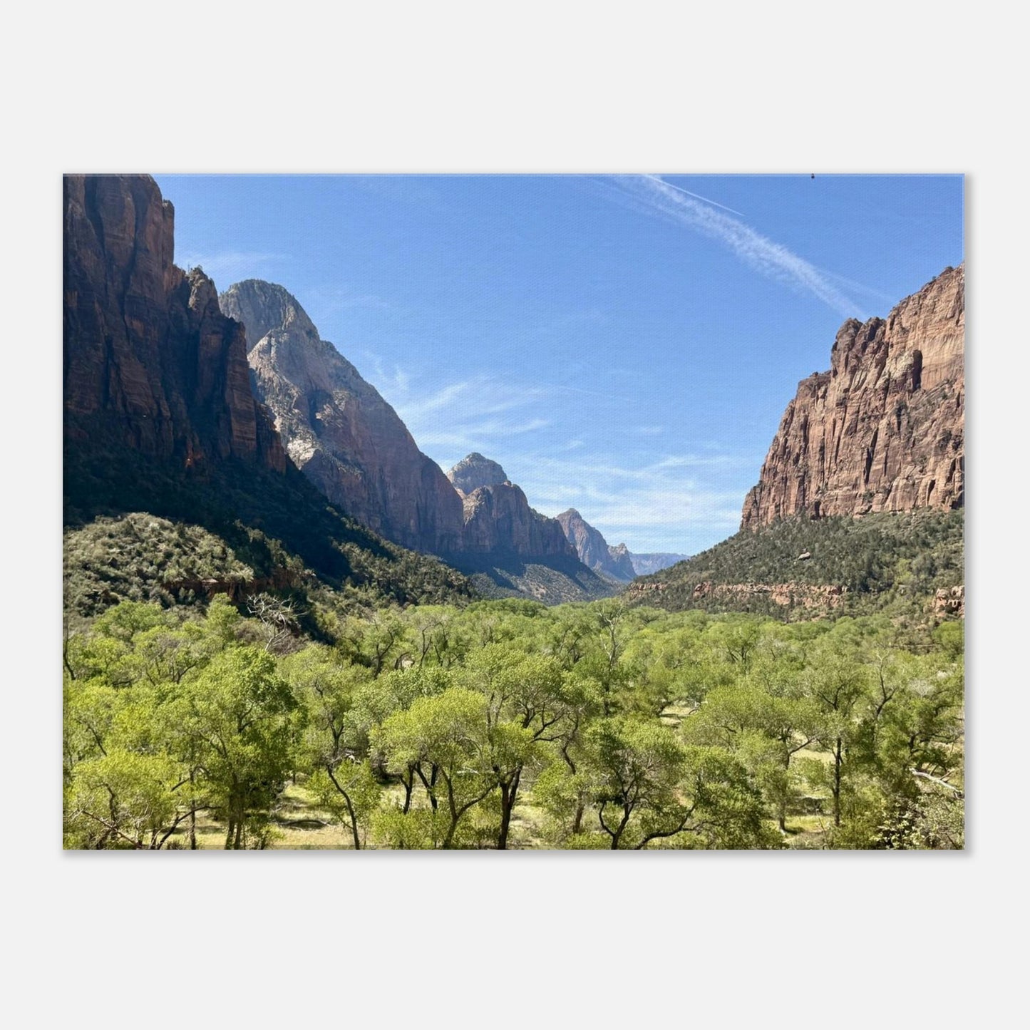 d9e66828-3f50-4700-b252-da1662786cfd