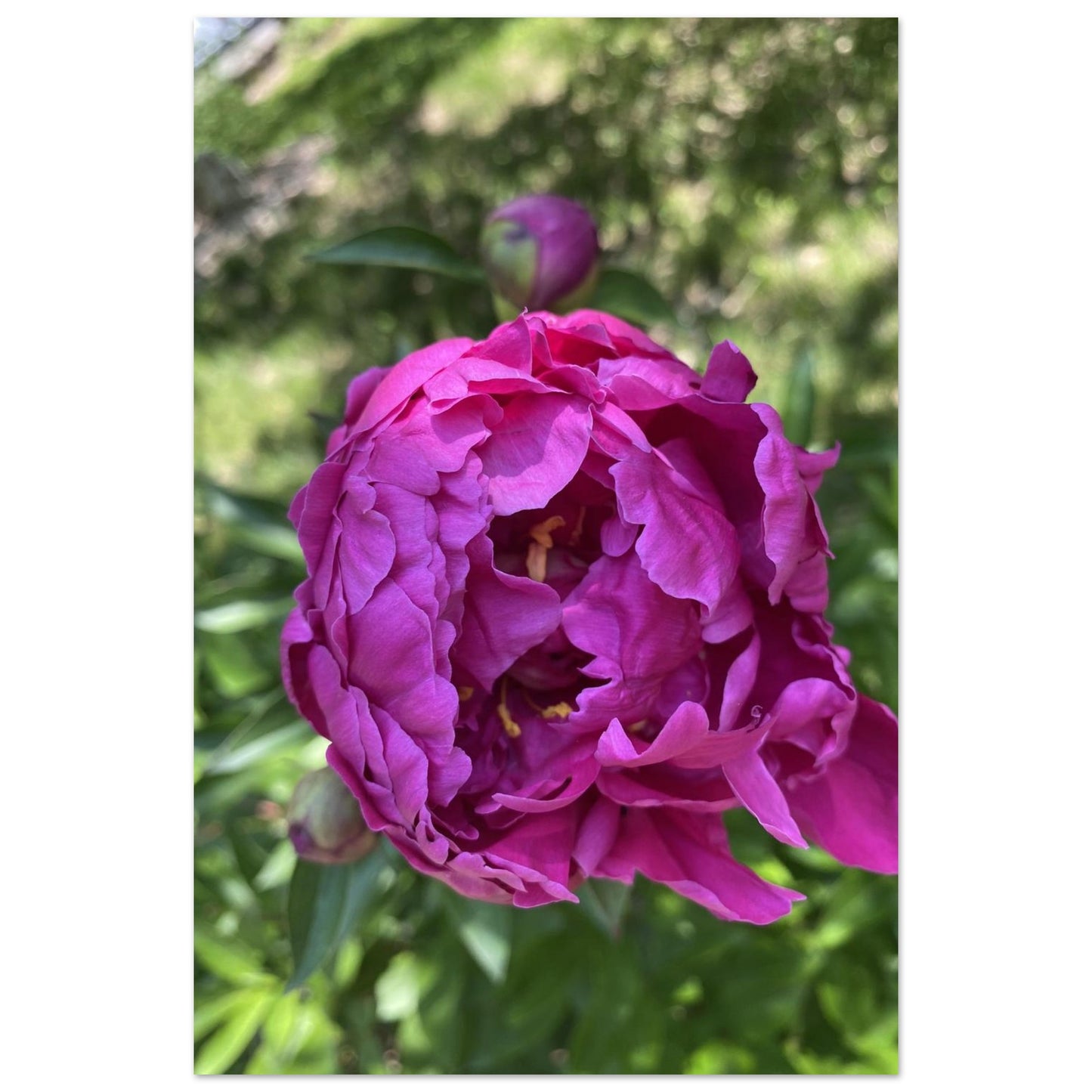 db0d6086-96f0-4c8b-83b8-221cd9b94bbc