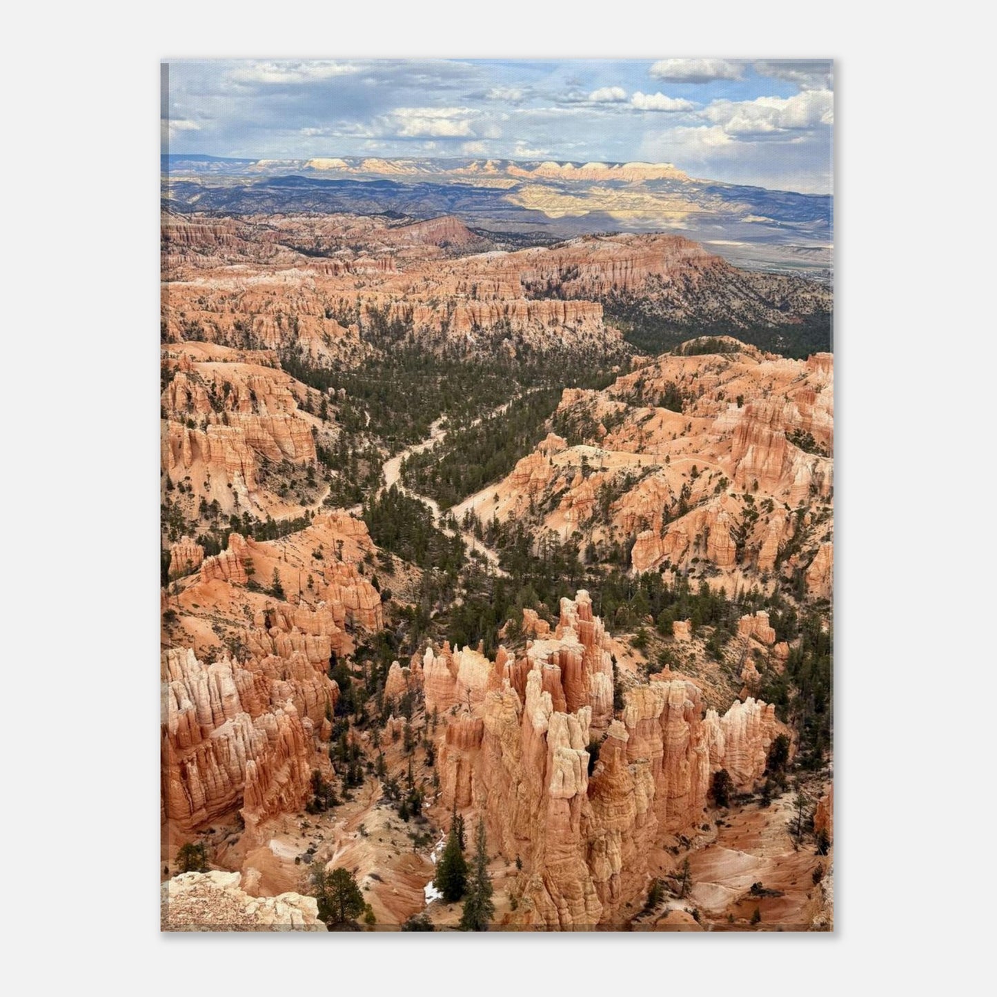 dbd8fc0e-317b-4904-bfa9-dcab152538fa