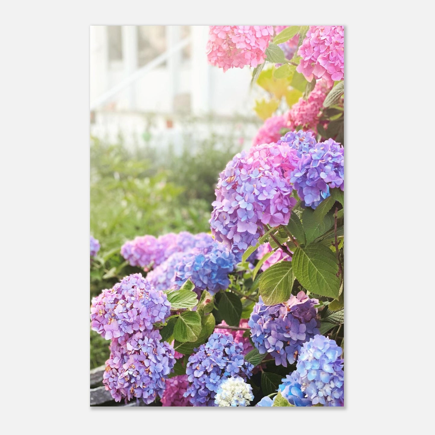 dbec99e4-828f-40ef-bbda-da6c7d5aff5e