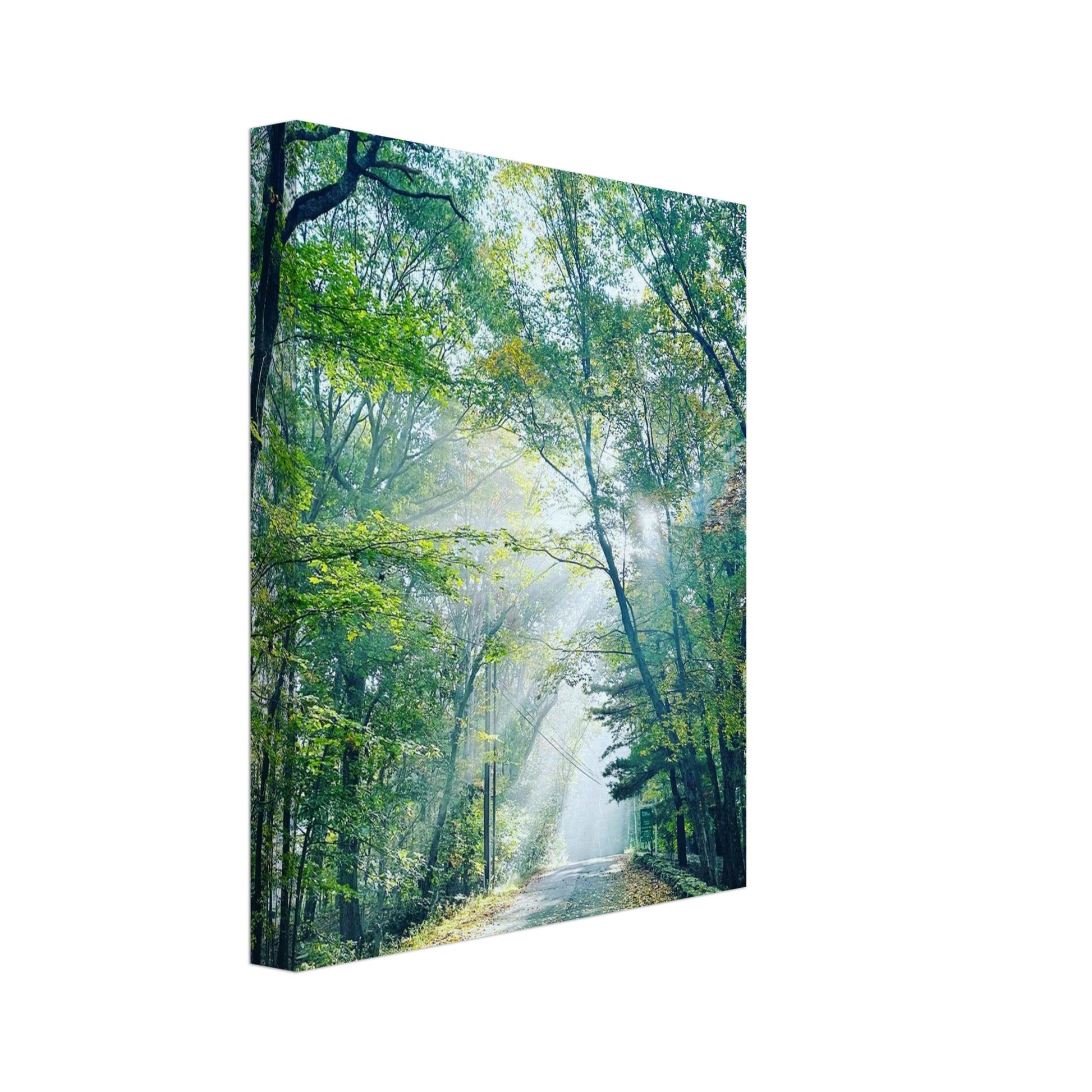 dd190f81-66f7-462a-991c-9e0c5aca4636