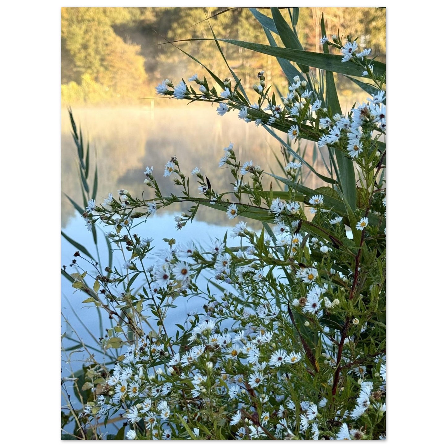 df3351d6-9698-41dc-bc61-eca88208c21f