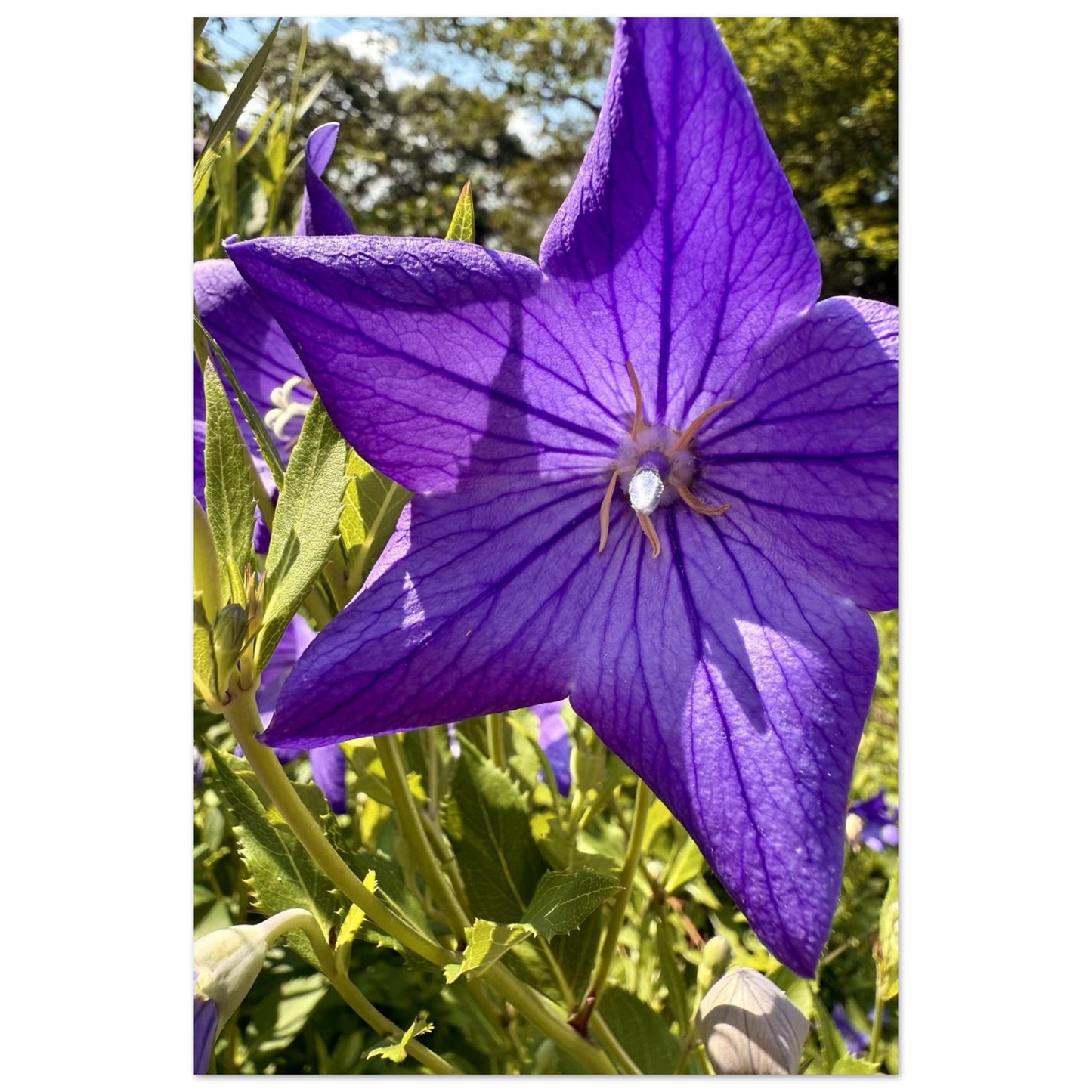 e4f946b6-9719-47e3-8ae6-1dc4fcc1d915