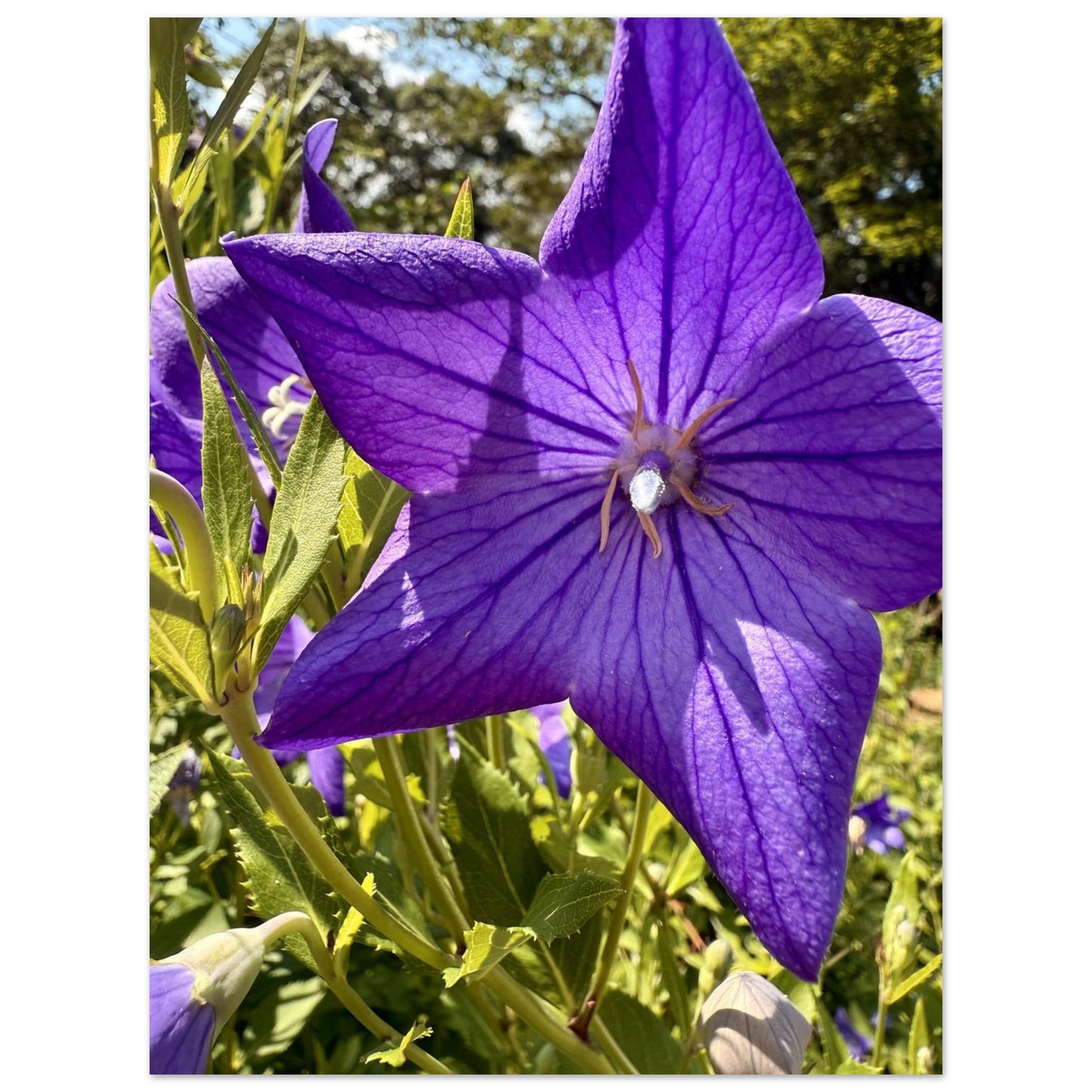 e8bdce49-54cb-4c9f-a8b9-eb041c59a64b