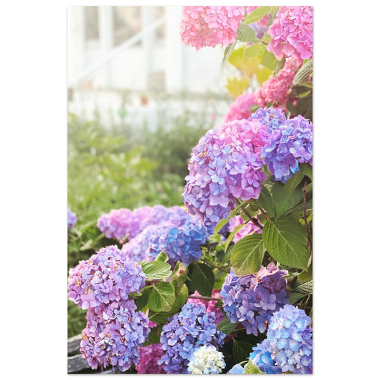 e955f3fd-1da4-4b33-b88e-f3e035935489