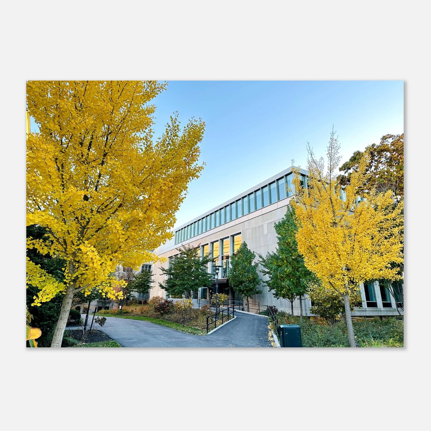 e9807125-c5e7-4302-ac8b-ce79ad12942e