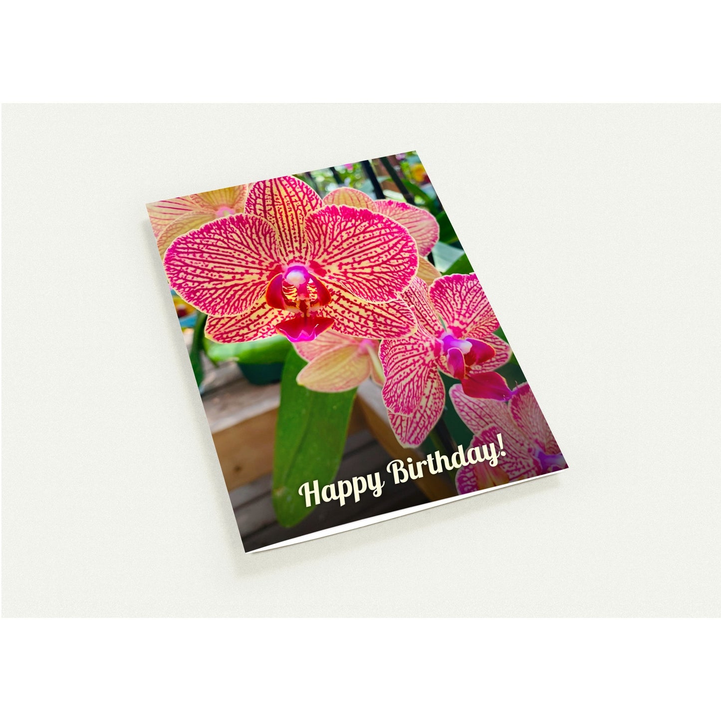 ecb01060-235d-4d60-a334-6dcb389d6b0e