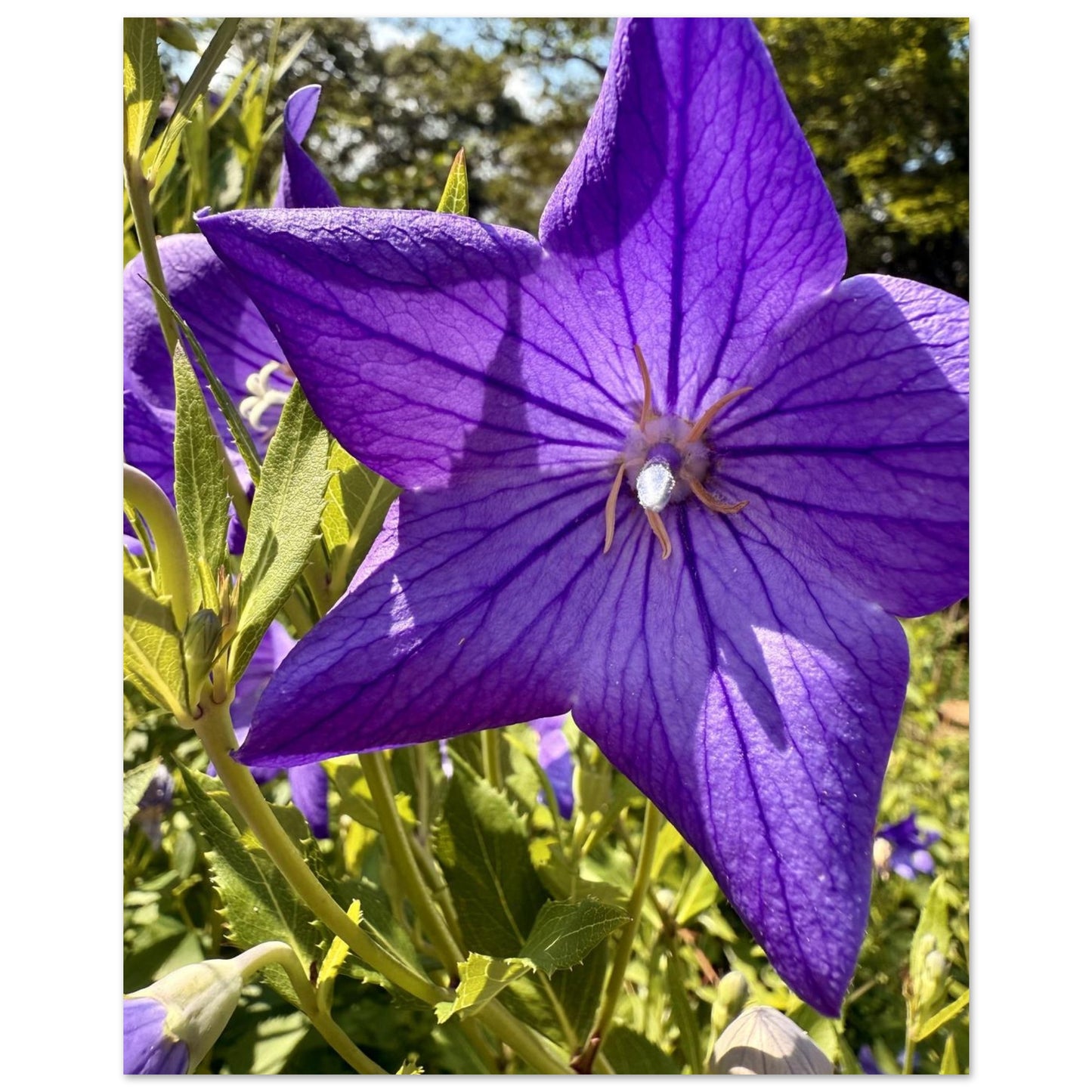 f0c47694-ebb7-44e9-aeff-ac5e7f09ecc0