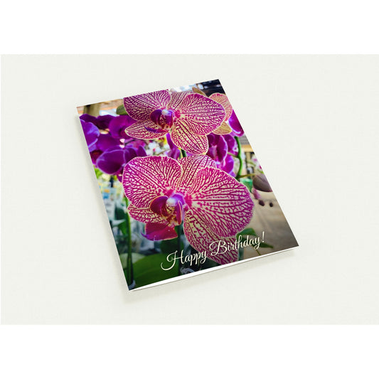 f6c1b475-dac2-4aaf-8a43-eefac9ab9fdd