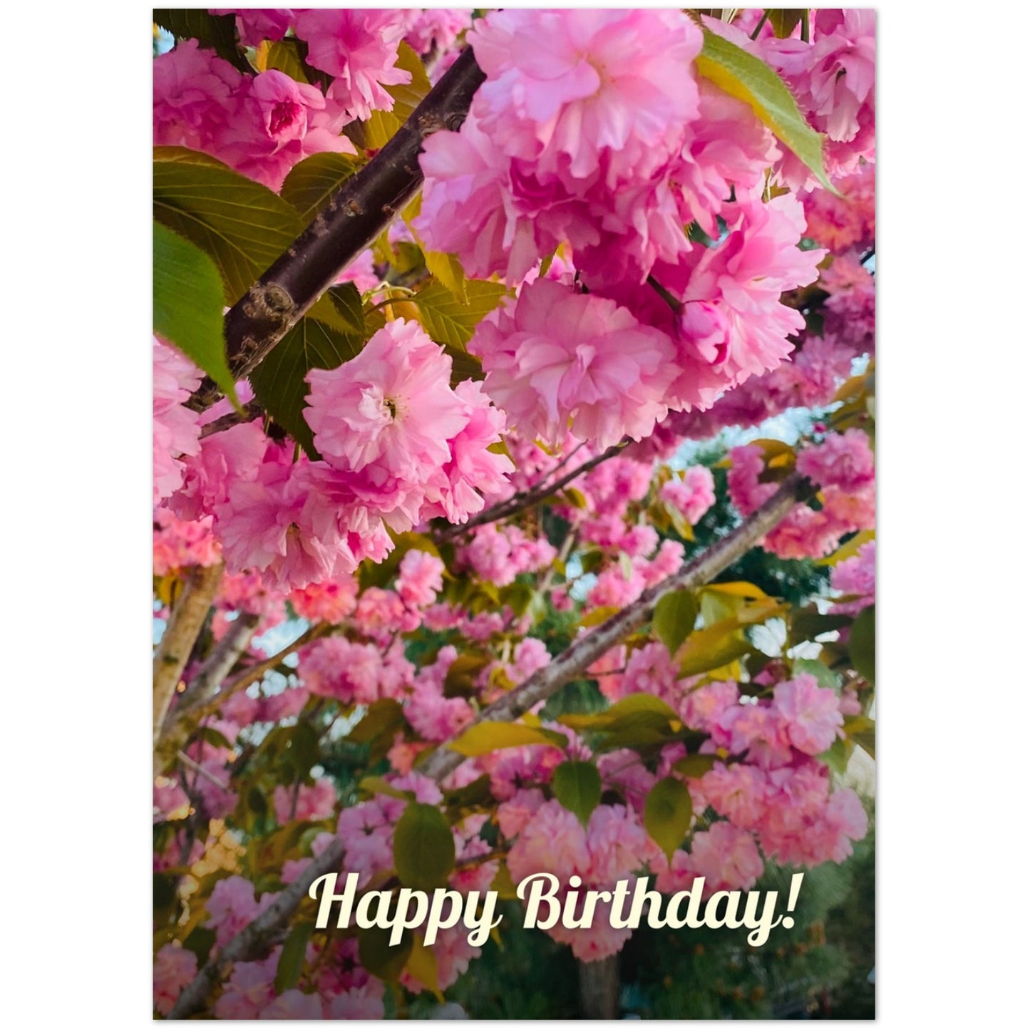 f7737dd9-8039-454e-a3ec-c1525137fa44