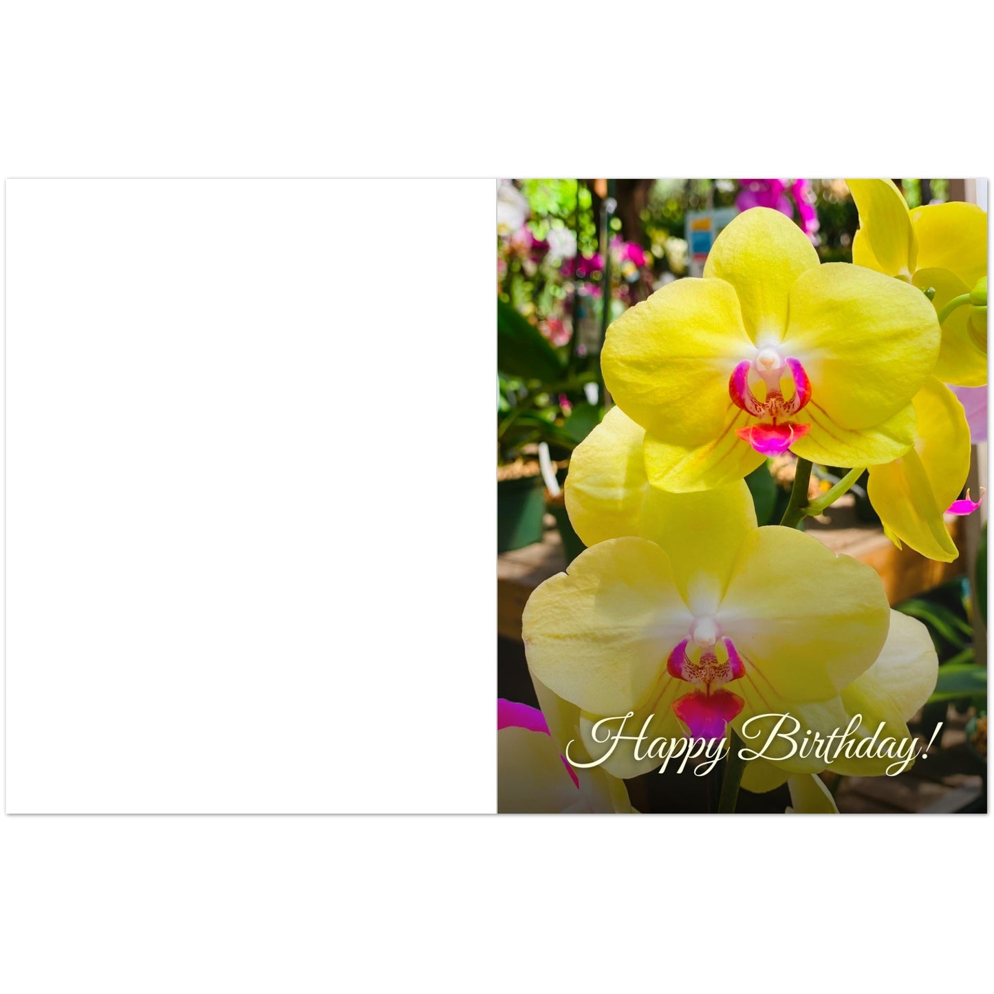 f9a4a859-b332-44ae-b549-9b1f301affc6