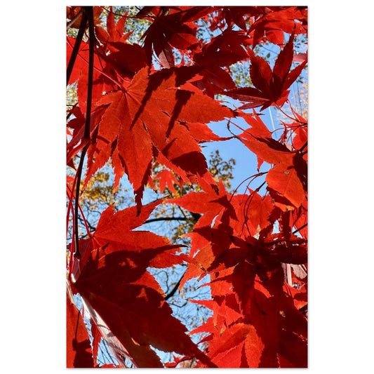 fa4a1213-272a-4fae-b58c-8888555aae22