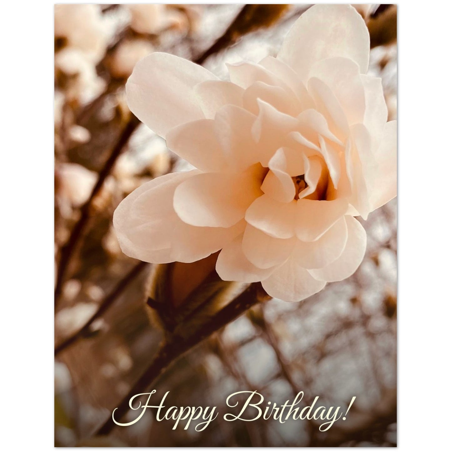 fb0c33a4-871d-418f-aaf1-1efbd7a2fabf