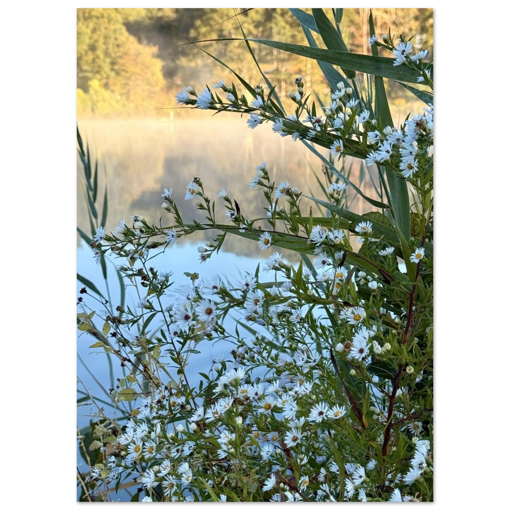 fb7510c8-ae93-46e6-a971-c22913f7f37d