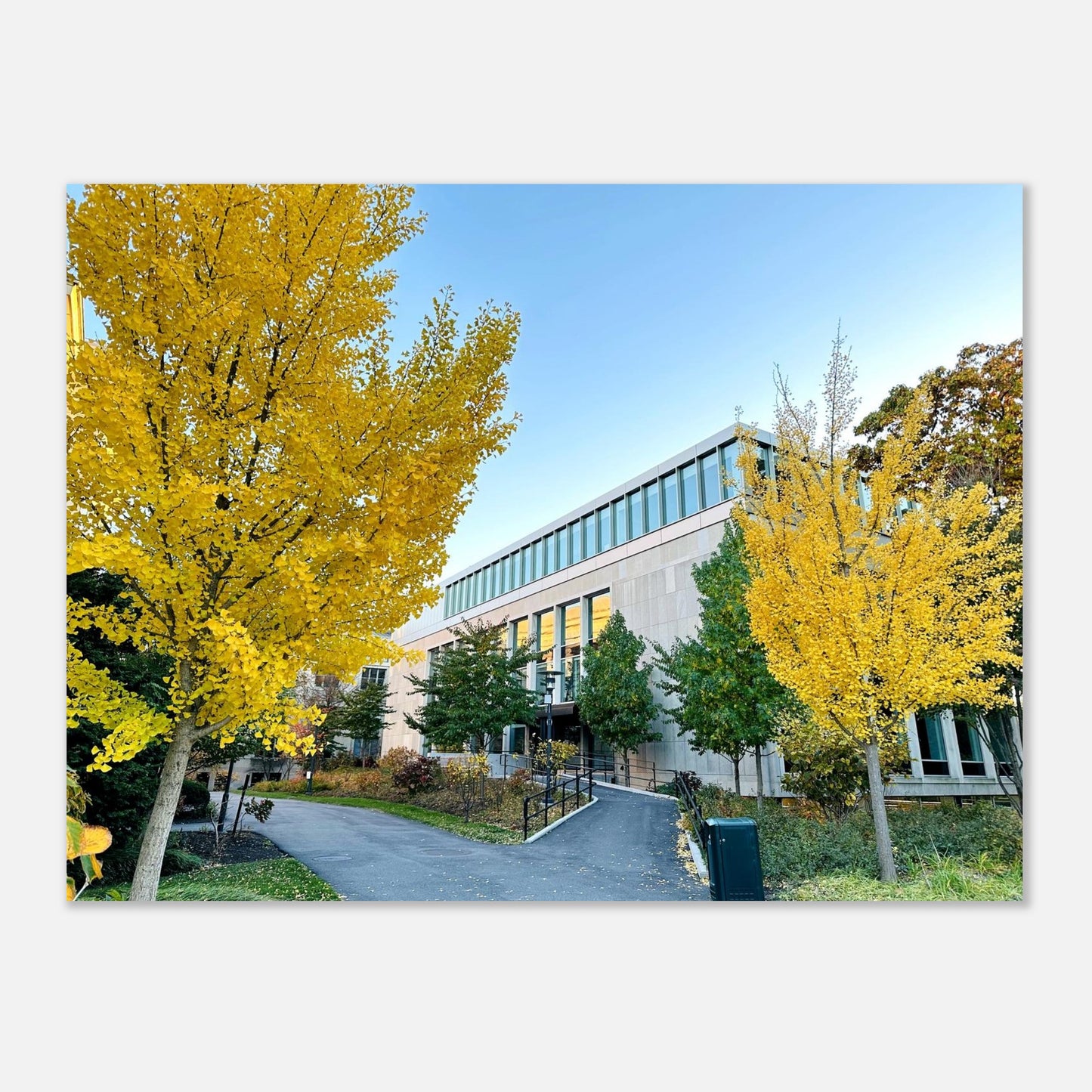 ffcd6f3b-ed57-4602-bfbe-a55130eca925